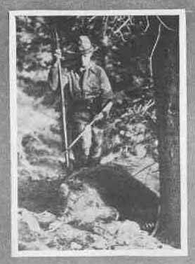 Picture Of Grizzly Taken By Bow And Arrow